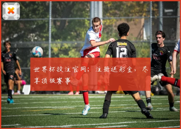 世界杯投注官网:注册送彩金,尽享顶级赛事
