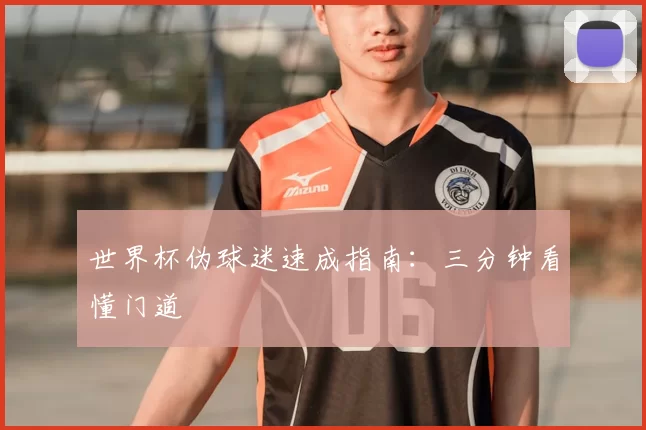 世界杯伪球迷速成指南:三分钟看懂门道