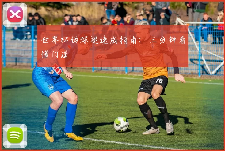 世界杯伪球迷速成指南：三分钟看懂门道