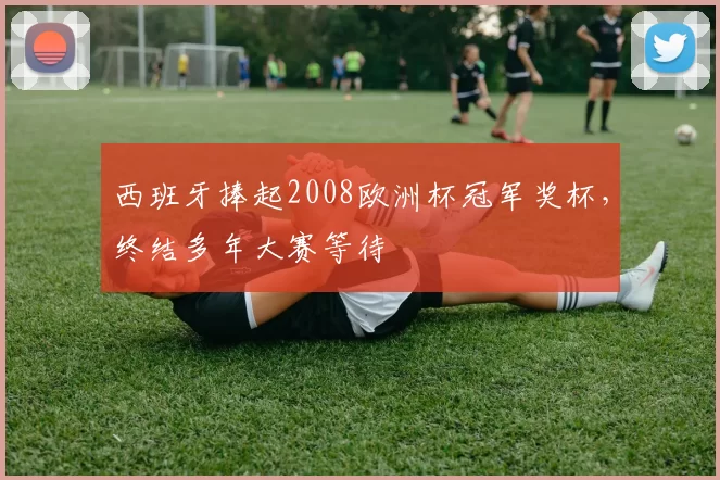 西班牙捧起2008欧洲杯冠军奖杯,终结多年大赛等待