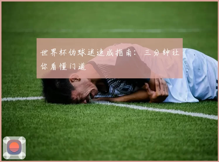 世界杯伪球迷速成指南：三分钟让你看懂门道