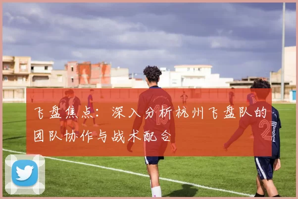 飞盘焦点:深入分析杭州飞盘队的团队协作与战术配合