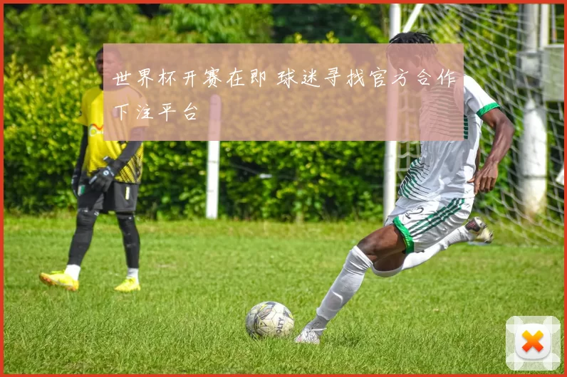 世界杯开赛在即 球迷寻找官方合作下注平台