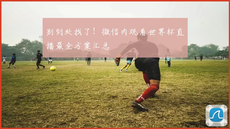 别到处找了!微信内观看世界杯直播最全方案汇总