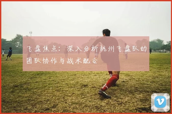 飞盘焦点:深入分析杭州飞盘队的团队协作与战术配合