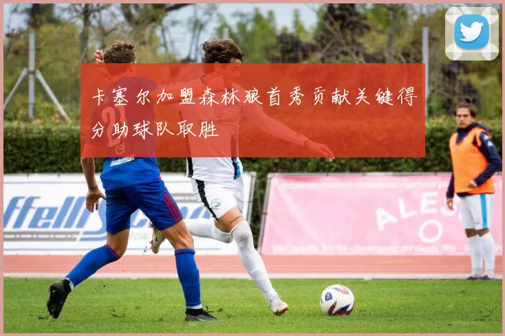 卡塞尔加盟森林狼首秀贡献关键得分助球队取胜
