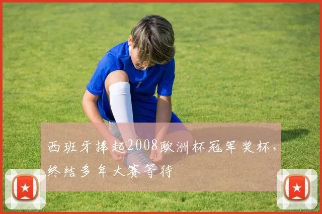 西班牙捧起2008欧洲杯冠军奖杯,终结多年大赛等待