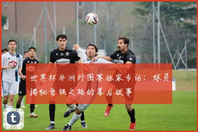 世界杯非洲外围赛独家专访:球员揭秘晋级之路的幕后故事