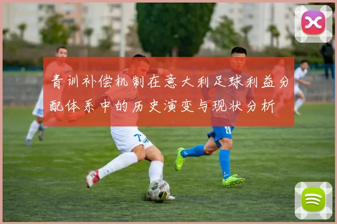 青训补偿机制在意大利足球利益分配体系中的历史演变与现状分析