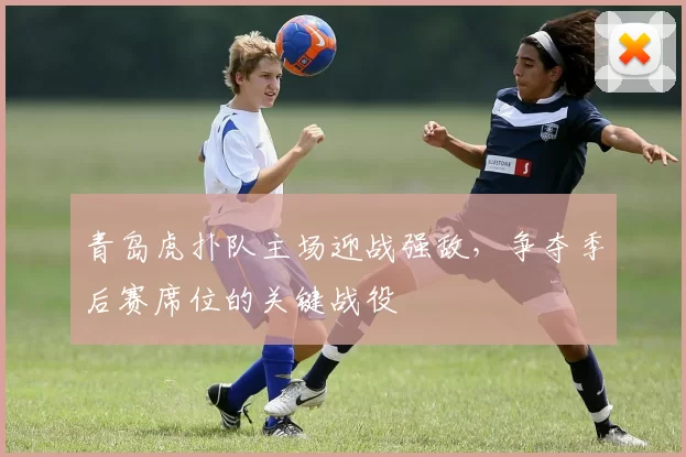 青岛虎扑队主场迎战强敌，争夺季后赛席位的关键战役