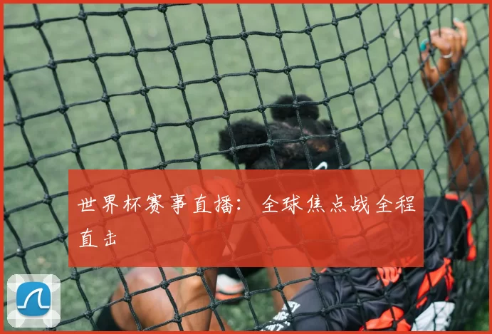 世界杯赛事直播：全球焦点战全程直击